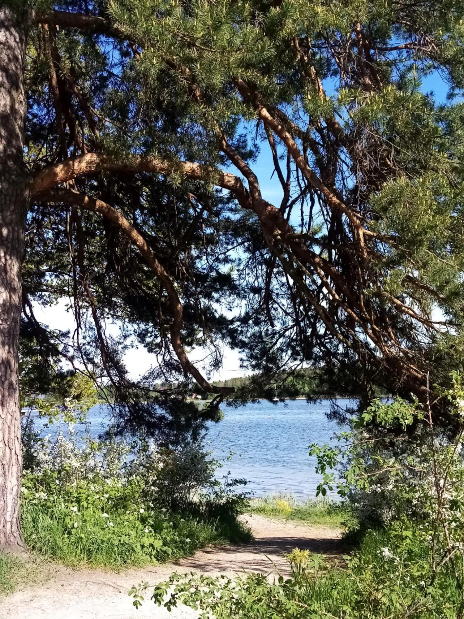 La Casa Marrone Norway Apartman Asker Kültér fotó